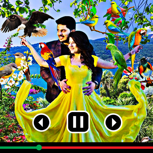 Bird photo video maker song logo