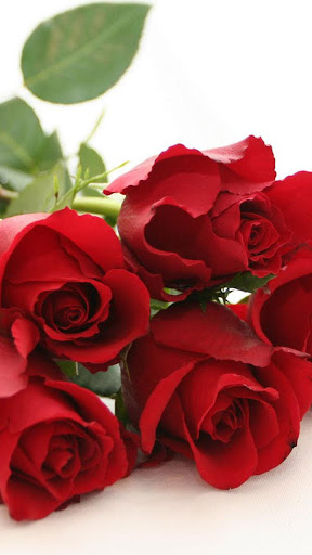 Roses Live Wallpaper Screen 3