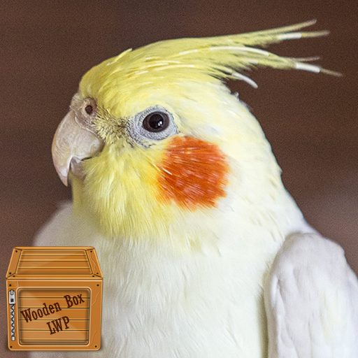 cockatiel bird wallpaper logo