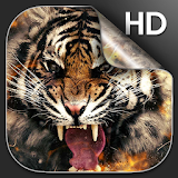 Tiger Live Wallpaper HD icon