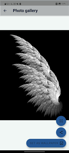 black background Screen 3