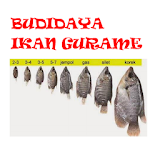 Budidaya Ikan Gurame icon