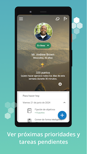 Vista previa de la aplicación