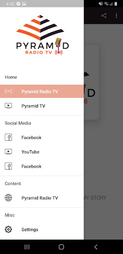 Pyramid Radio TV Screen 3