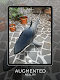 screenshot of Architeque － 3D & AR Solutions