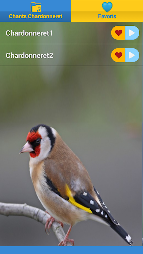 European goldfinch song Screen 3