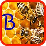Let it BEE wallpeper icon
