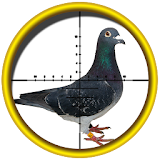Pigeon (Kabootar) Shooting, 3D icon