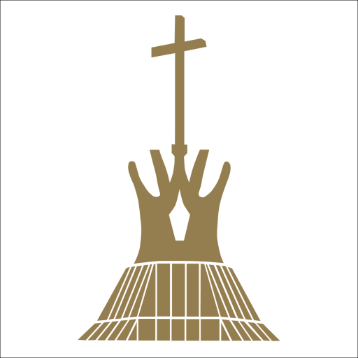 St Johns Jesuit HS & Academy logo