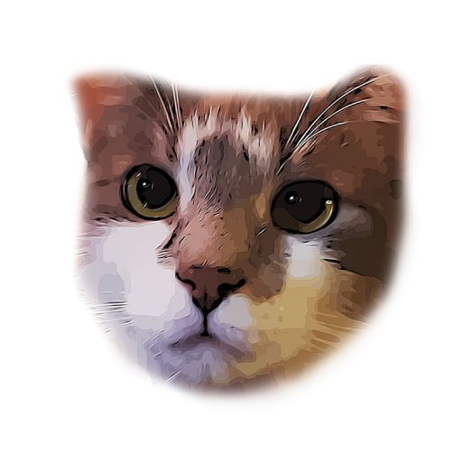 Budget Kat logo