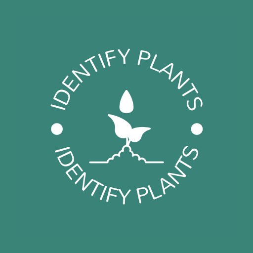 Plant Identifier logo