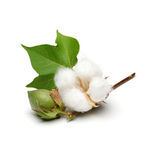 Phule Deshi Cotton logo