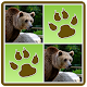 Wild Animals Memory Game Download on Windows