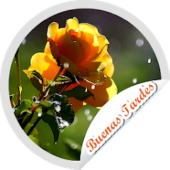 Descargar Stickers Buenas Tardes Flores
