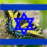 Butterflies of Israel icon