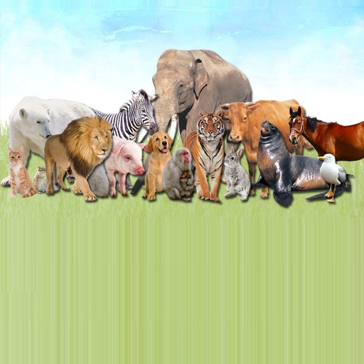 Animal sounds of all kinds logo
