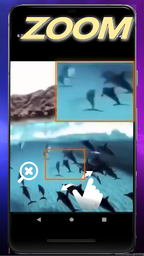 Reproductor de video Vidslax