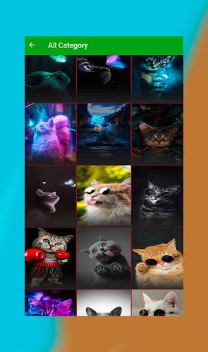 Wallpaper of cats