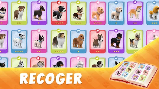 Juegos para jugar con los perros en casa - Dog On Camera