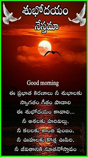 Morning fresh Quotes Telugu Screen 2