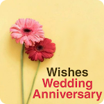 Cover Image of ดาวน์โหลด wishes wedding anniversary  APK
