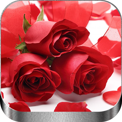 Rosas Rojas de Amor  Icon