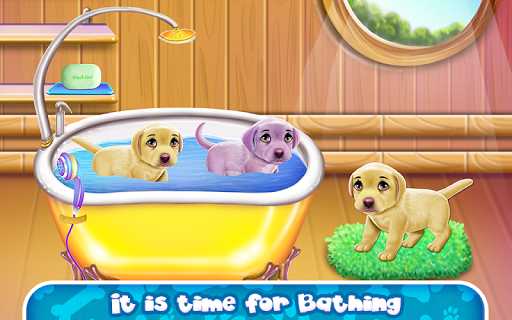 Labrador Quadruplets Caring Screen 2