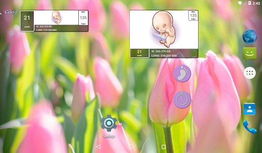 Pregnancy Calendar  Screenshots 10