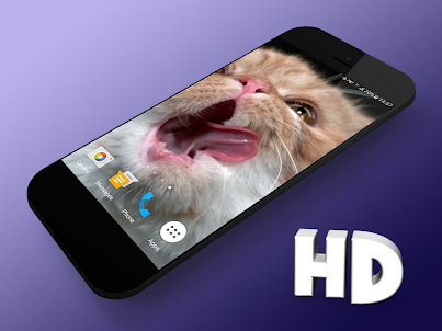 Cat Shake HD Live Wallpaper
