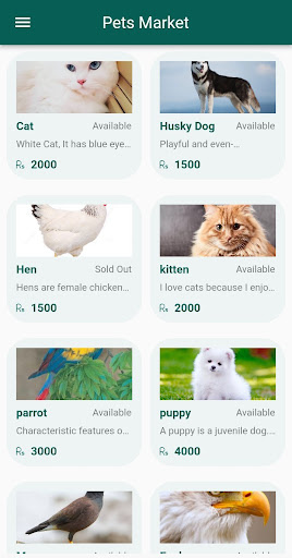 Pets Cure Screen 2