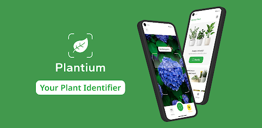 Plant Identifier – Plantium