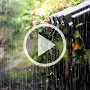 Heavy Rain Video Wallpaper