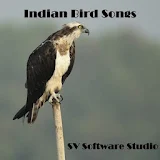 Indian Bird Sounds icon