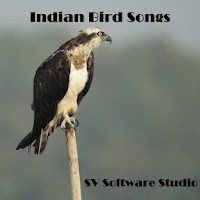 Indian Bird Sounds