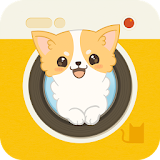 Hellopet Mini - Chihuahua and photo fun icon