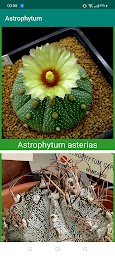 Encyclopedia of Cacti & Succulents