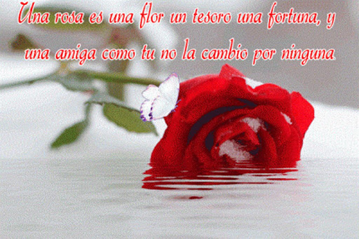 Ramos de Rosas con Poemas Screen 3