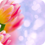 Pink tulip Theme C Launcher icon