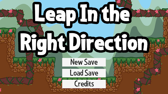 Leap In The Right Direction