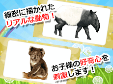 動物カード２ 子供向け図鑑 教育・知育・英語のおすすめ画像3