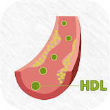 HDL Cholesterol Calculator icon