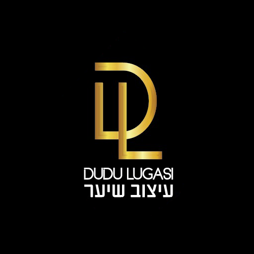 Dudu Lugasi | דודו לוגסי logo