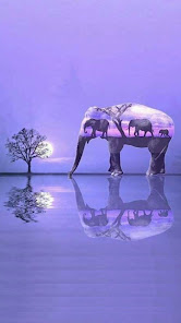 Imatge 7 Fondo de pantalla de elefante android