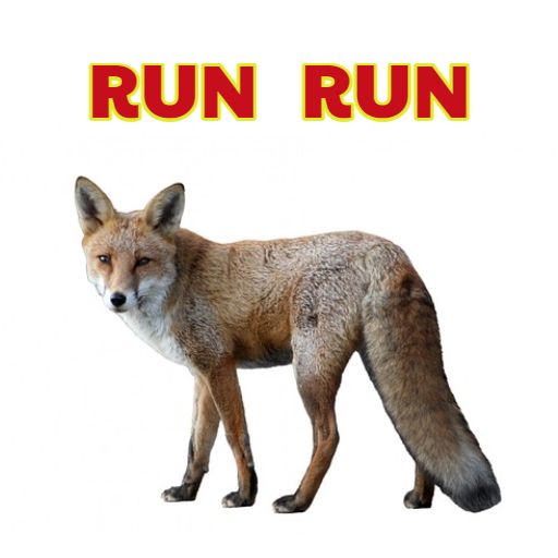 Run Run el Zorrito logo