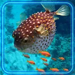 Cover Image of ダウンロード Coral Reef Underwater  APK