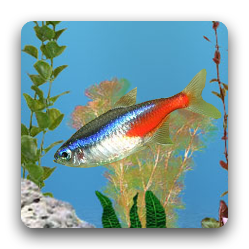 aniPet Freshwater Aquarium LWP 2.4.9 Icon