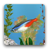 aniPet Freshwater Aquarium LWP icon