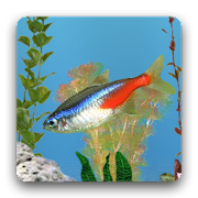 aniPet Freshwater Aquarium LWP