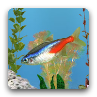 AniPet Freshwater Aquarium LWP