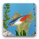 aniPet淡水魚水族館ライブ壁紙 - Androidアプリ